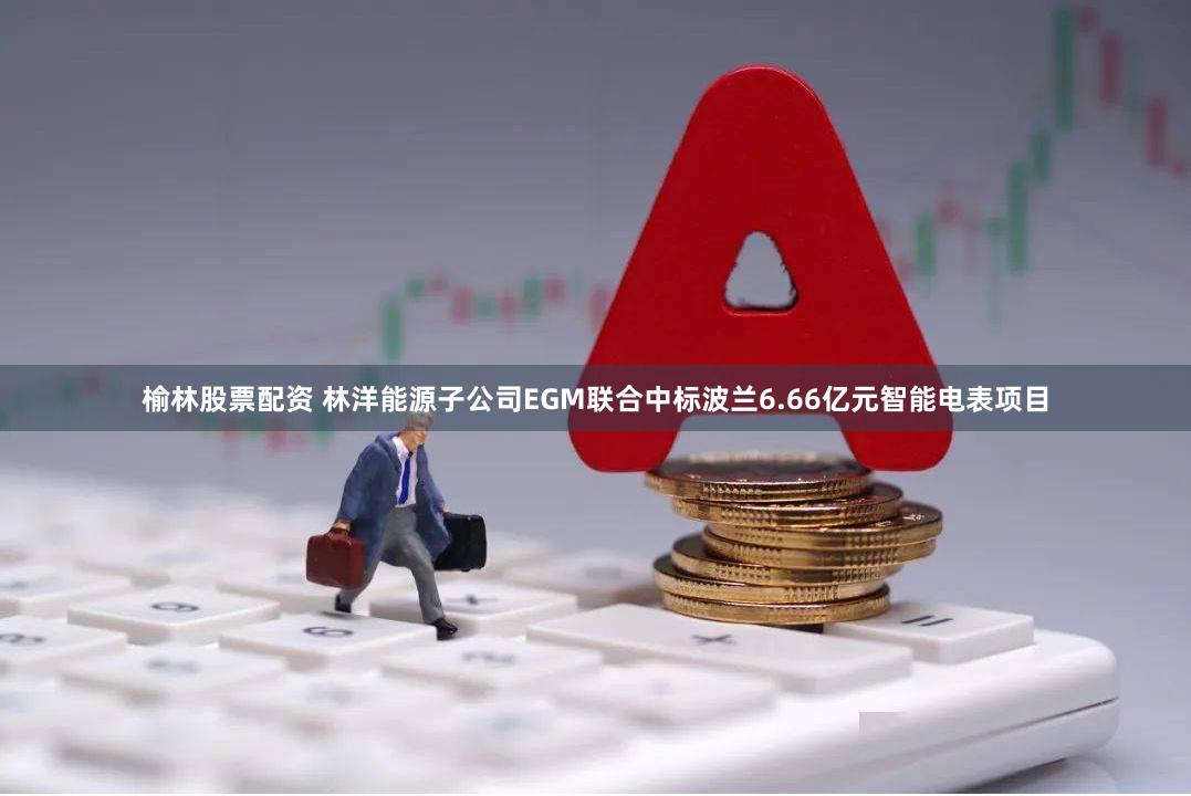 榆林股票配资 林洋能源子公司EGM联合中标波兰6.66亿元智能电表项目