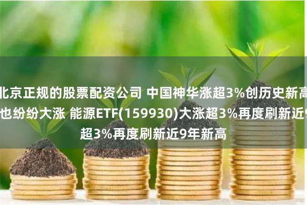 北京正规的股票配资公司 中国神华涨超3%创历史新高 两桶油也纷纷大涨 能源ETF(159930)大涨超3%再度刷新近9年新高