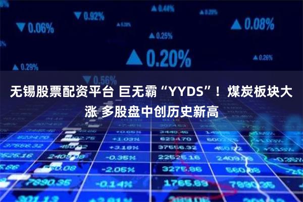 无锡股票配资平台 巨无霸“YYDS”！煤炭板块大涨 多股盘中创历史新高