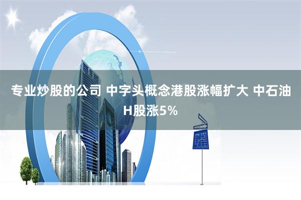 专业炒股的公司 中字头概念港股涨幅扩大 中石油H股涨5%