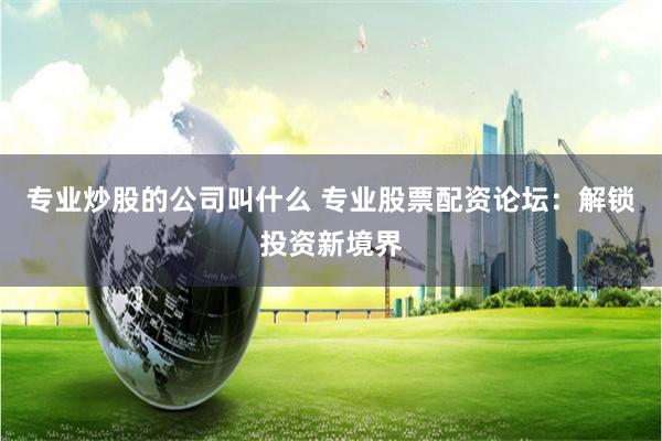 专业炒股的公司叫什么 专业股票配资论坛：解锁投资新境界
